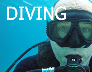 Diving Diary